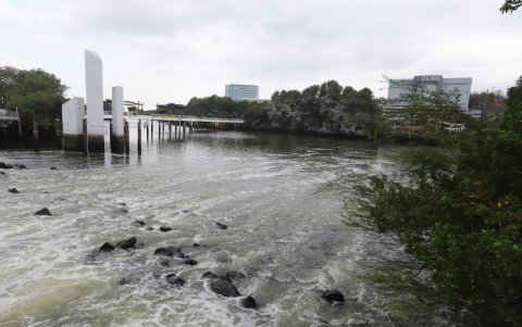 Ecosistema. En el estero Salado, en sectores como Guayarte (ingreso a la ciudadela Urdesa), se observa espuma generada por la descarga de aguas residuales domésticas e industriales.