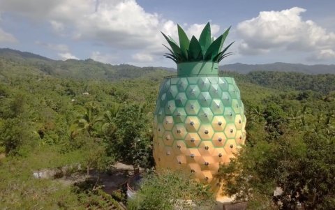 La inteligencia artificial se convierte en guardiana de saberes ancestrales en “Piña”