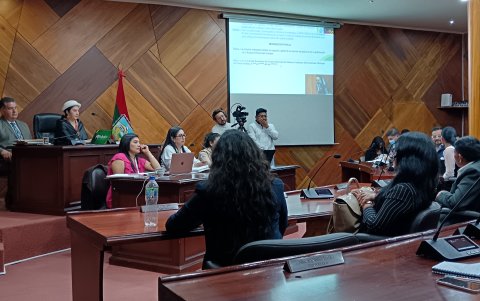 La nueva ordenanza fue aprobada tras más de tres horas de debate en el Concejo Cantonal de Ambato.