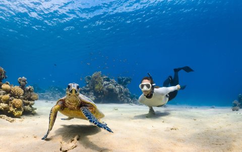 La plataforma Galaxea permite explorar los puntos de buceo del Mar Rojo Saudí, muchos de ellos intactos.