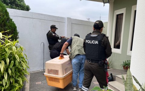 Policía rescatando al oso hormiguero.