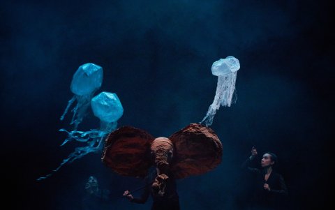 El Elefante es una construcción que forma parte de la pbra.