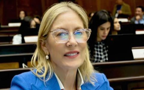 Annabella Azín, asambleísta de ADN, durante el debate en la Comisión de Salud sobre proyectos para prevenir la diabetes y la obesidad