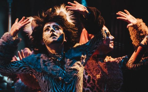 Traer Cats al país comenzó con la idea de demostrar que en Ambato, el centro del país, también se pueden producir musicales de alta calidad.