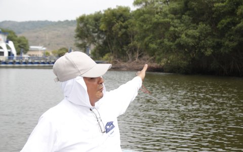 De la Torre expone la zona 'talada'.