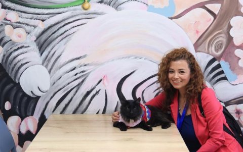 En Maneki, cada rincón está decorado con detalles felinos: el paraíso perfecto para los cat lovers.