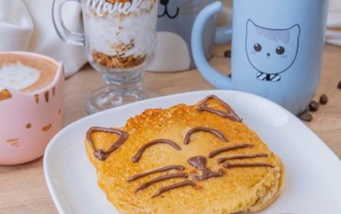 Desde la decoración hasta el menú, Manequí respira amor por los gatos. Un lugar hecho para cat lovers