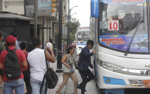 Algunas rutas de buses trabajaran con normalidad del día domingo 31 de enero.