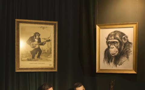 Los integrantes de Droz para el lente de EXPRESIONES