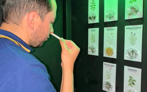 Más de 1.000 personas participaron en cuatro días, descubriendo la complejidad del olfato y la riqueza aromática de una bebida que forma parte de la identidad lojano-andina.