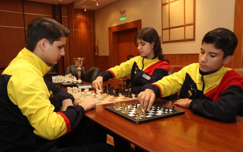 Los hermanos Vera Arboleda jugarán el provincial de ajedrez y buscan ganarlo.