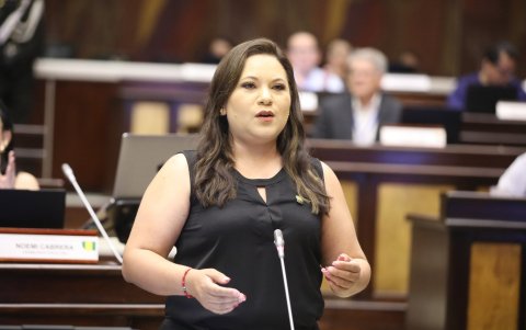 La asambleísta del correísmo, Mónica Alemán, planteó que se regrese la Proforma Presupuestaria de 2026 al Ejecutivo.