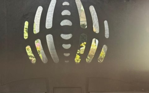 Oso hormiguero rescatado