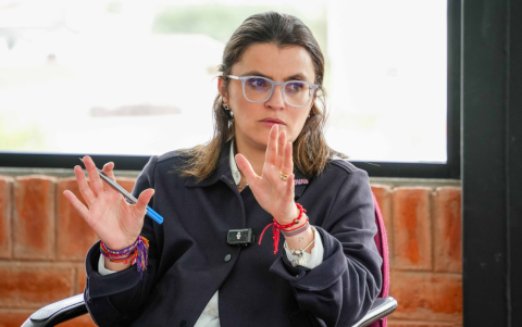 La vicepresidenta de Ecuador, María José Pinto está a cargo del sector salud por encomienda del primer mandatario.