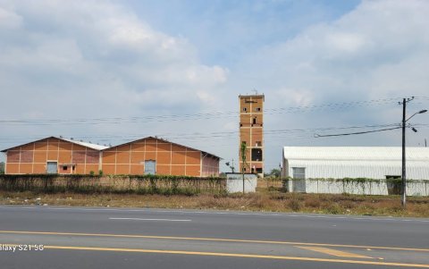 UNA de Daule, productores denuncian que el abandono total de la infraestructura perjudica la comercialización de productos como el arroz