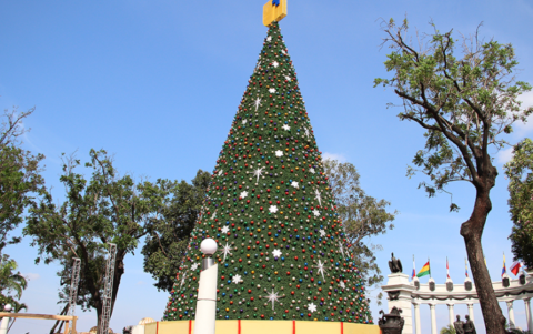 El árbol de navidad de 12 metros se instaló a la altura del bulevar 9 de Octubre.