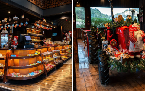 Dos Chorreras cuenta con un espacio adecuado que resalta la magia navideña.