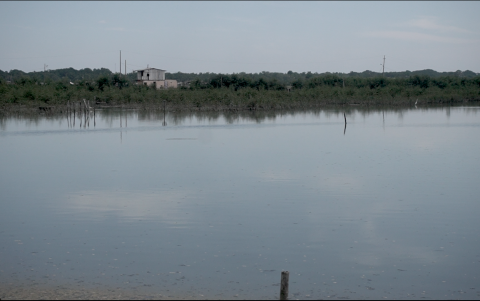La explotación de los recursos marinos en Ecuador es un problema que se puede percibir sobre todo en la escasez de especies clave.
