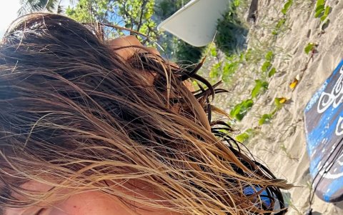 Nuevo corte de Karol G