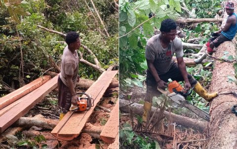 Quiñónez inicia desde las 05:00 su actividad como leñador en San Lorenzo.
