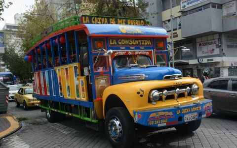 Las chivas durante las últimas Fiestas de Quito en la capital.