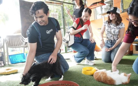 Las visitas a asilos, fundaciones y refugios de animales permiten aplicar conocimientos académicos y desarrollar competencias prácticas.