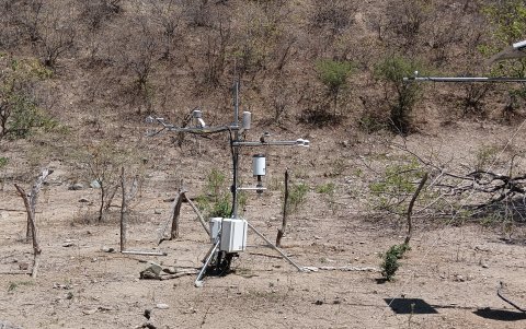 El proyecto seleccionado por Google analizará patrones de absorción y emisión de carbono para entender los efectos del calentamiento global en bosques secos y húmedos.