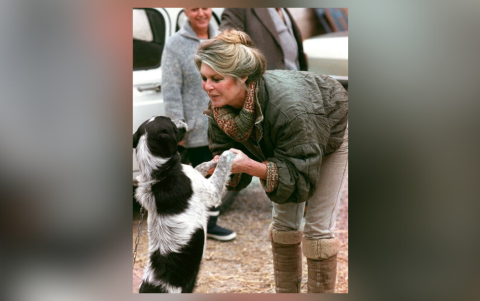En 1973, Bardot dejó el cine para volcarse a la defensa de los animales.