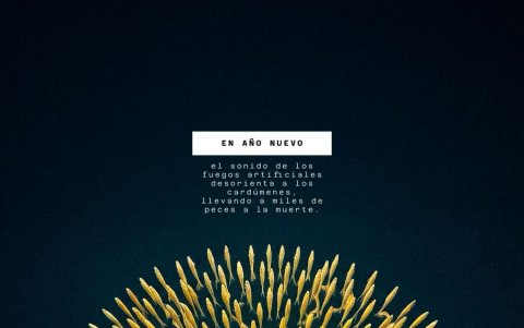 El fuego artificial es la integración de varios peces. Una relación entre la vida marina con la pirotecnia.