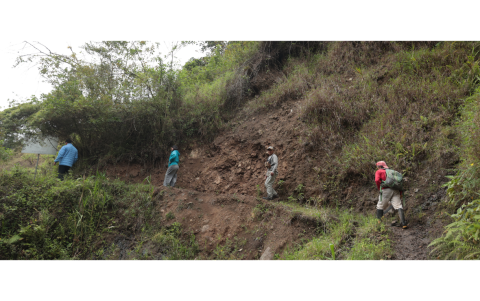 Con guías especializados y protocolos responsables, observa especies únicas mientras apoyas la conservación