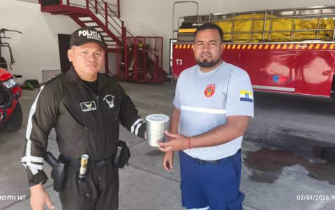 La boa fue dejada en una estación de bomberos