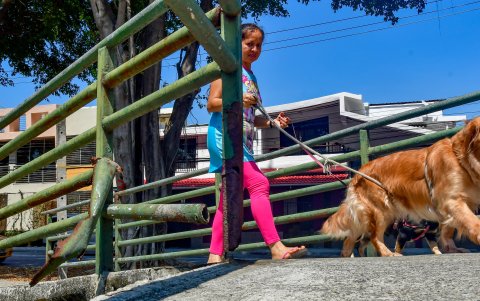 Las barandas de los puentes peatonales están en mal estado. Además, se han colocado estructuras metálicas que complican el paso de peatones.
