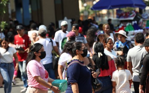 Proliferación. Es fundamental la medicina preventiva para que no aumenten las enfermedades transmisibles.