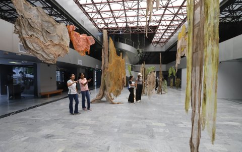 La obra artística obra titulada “Donde la cordillera desemboca en manglar” elaborada por Shirma Guayasamín es una de las exposiciones del museo Nahim Isaías.