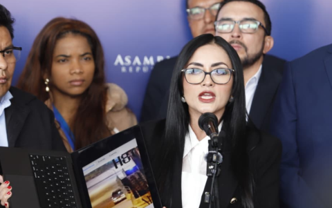 Asambleístas de Revolución Ciudadana también hablaron previo a la sesión.