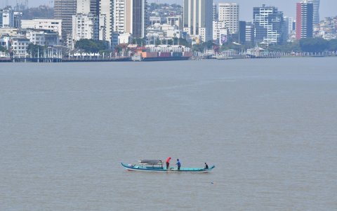Hay estudios para implementar sistemas de transporte fluvial en Guayaquil.