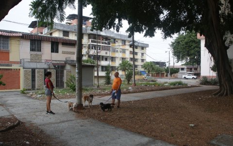 Pese al mal estado del parque, los vecinos de La Saiba aprovechan este espacio público para sacar a pasear a sus mascotas.