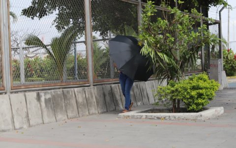 En los primeros días de enero, las temperaturas máximas en Guayaquil se han ubicado más de dos grados por encima del promedio normal,
