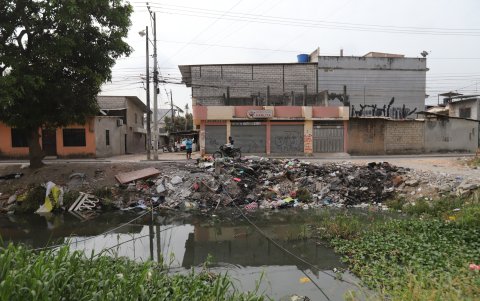 Ecosistema. En los canales naturales de Durán hay basura sobre el agua y en las orillas.