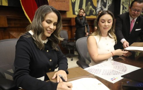 Alexandra Villacís es la vocal suplente de Mario Godoy.