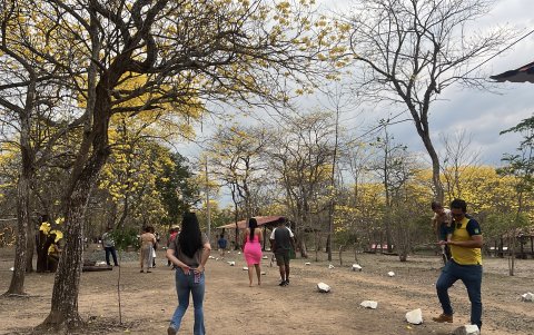 Familias y turistas disfrutan de este fenómeno natural que comenzó el sábado 10 de enero