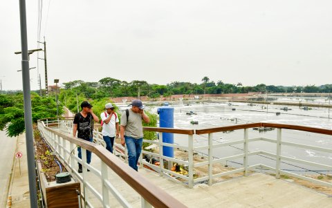 Residuos como harina de pescado y químicos industriales recorren la ciudad desde zonas industriales (como la vía a Daule) hasta la PTAR Los Merinos.