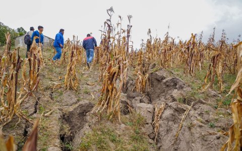 Las autoridades delimitaron un área de afectación por los hundimientos de tierra.