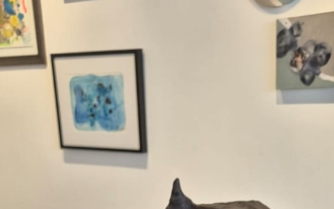 Diego Cuesta, representa la montaña La Punta en Montañita, hoy transformada por el tiempo.