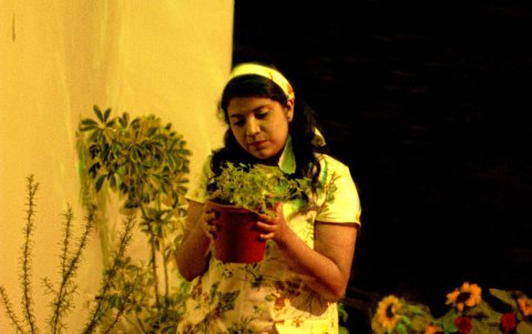 La obra propone un universo donde las plantas conservan recuerdos y los fantasmas  no han terminado de partir.