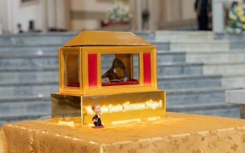 Las reliquias del Santo Hermano Miguel provienen de la ciudad de Cuenca, donde reposan sus restos mortales y donde se conserva su memoria espiritual y educativa.