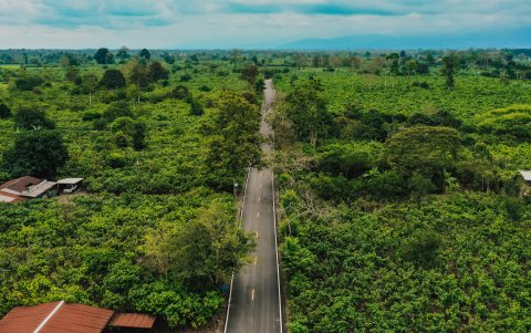 Carretera Marcelino Maridueña-La Resistencia-Nueva Unión