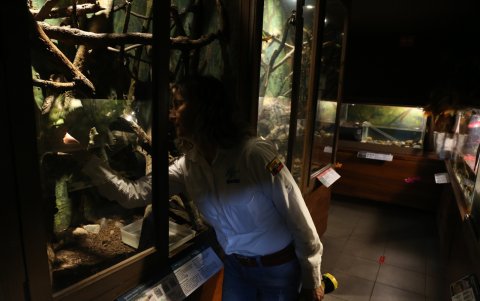 A pocos pasos de la Estación La Carolina, el Vivarium de Quito ofrece una experiencia única para conocer la biodiversidad ecuatoriana sin salir de la ciudad.