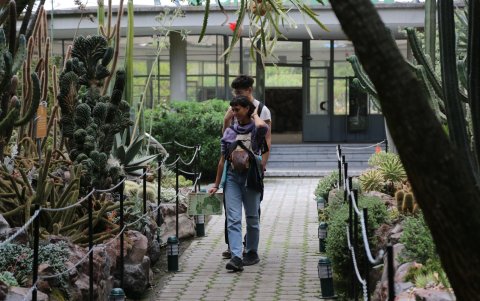 Una parada imperdible del Metro de Quito para conectar con la naturaleza en plena ciudad.