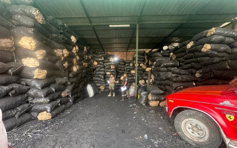 La madera estaba almacenada.